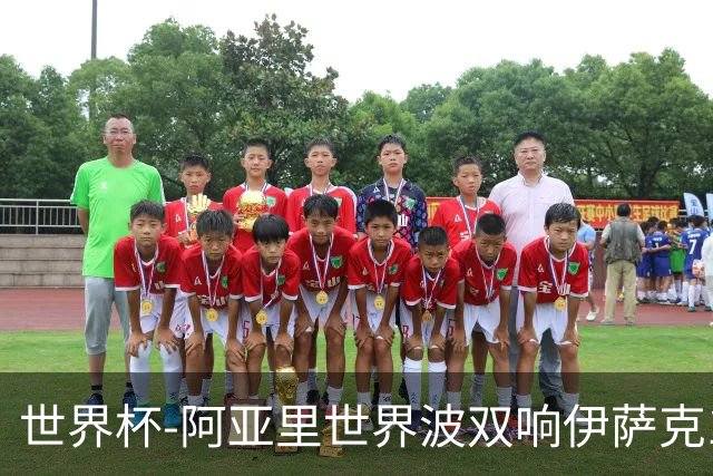 世界杯-阿亚里世界波双响伊萨克1射2传 瑞典5-1突尼斯
